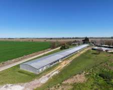 Granja de 5 Ha en Oliveros Sobre RN 11.