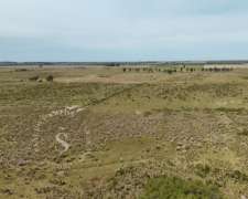 Venta Campo Ganadero. 451 Hectáreas. Elisa, Santa Fe.
