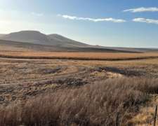 Tandil, Buenos Aires - 850 Ha