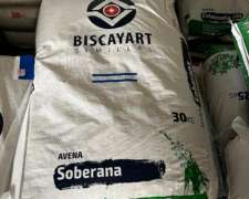 Avena Soberana Biscayart Semillas