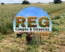 380 Has Guatrache, L.p.