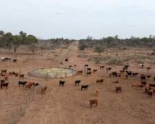 Pcia. de Santiago del Estero - el Cabure 1675 Has