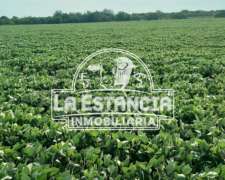 200 Has Con Mejoras En Departamento Paraná