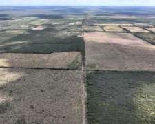 Concaran, San Luis - 373 Ha