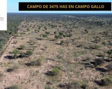 Campo 3.475 Ha en Campo Gallo, Alberdi, Santiago del Estero