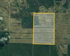 Campo Ganadero con Potencial Agrícola