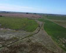 Campo Agrícola en Alquiler