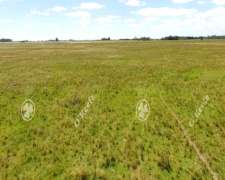 Campo en Venta de 450 Has en Magdalena. Ganadero