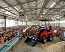 Mini Pala Vogel 10 Hanomag 350 Kg 0.15 Mts