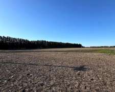 Campo Agrícola 17 Hectáreas
