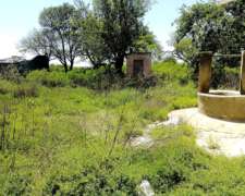 Venta de Campo Bower