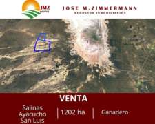 Ayacucho- 1202 - San Luis