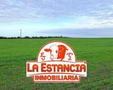 1300 Has Agrícolas En La Paz