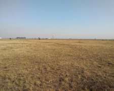Campo En Venta De 165 Has En Ranchos. Ganadero