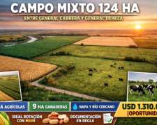 Campo Mixto de 124 Has 529