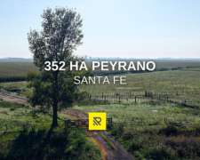 352 Ha Peyrano Mixto
