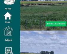 Campo en las Heras 98 Has