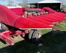 Maicero Ombu cm 2008 de 10/52