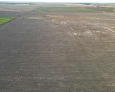 Venta 200 Has Cintra