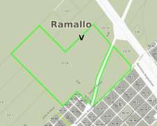 Campo 52 Has, Ramallo(b)