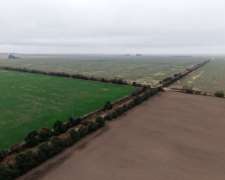 Venta 100 Has Agricolas en Dpto San Martin.