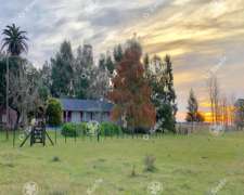 Campo 130 Has en Venta Chascomus.ideal Cria de Caballos