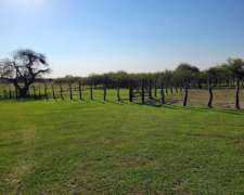 131 Has. En Arrendamiento En Felipe Yofre (corrientes)