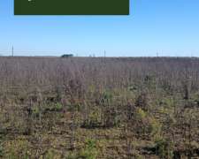 727 Ha-ganadero -villa Gesell-sobre R11