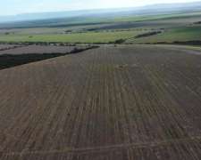 San Luis Naschel 190 Has Agricolas