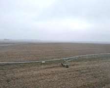 Dorbigny, Coronel Suarez, Buenos Aires - 390 Ha