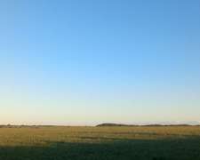 Campo Agricola 100 Hectareas