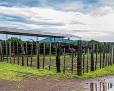 Vendo Campo Ganadero en Misiones Sobre Autopista Ruta 12