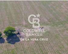 San Agustin, Santa FE Campo Mixto