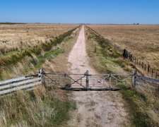 Blaquier, Florentino Ameghino, Buenos Aires - 803 Ha