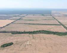 Pcia. de Salta - Embarcacion 1370 Has