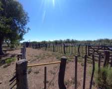Se Vende Campo de 4050 Hectareas