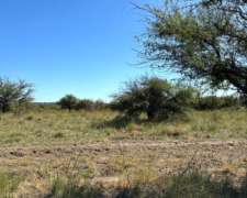 4855 HS. Ganaderas en Algarrobo (BS As).