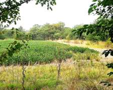 Mercedes 6,5 Has Agrícolas con Arboles. Cerca del Asfalto