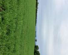 Vendo 71 Hcts, Alfalfa. con Maquinaria Completa Incluida