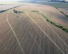 250 Hectáreas de Campo Agrícola en Gualeguaychú, Sobre Ripio