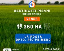 Se Vende Campo en la Posta
