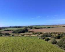 Campo Mixto 49 Hectáreas