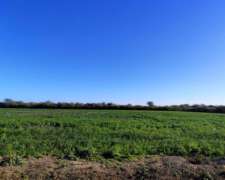 💥 Oportunidad Única Campo con Riego y Alfalfa en Venta 💥