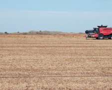 Campo Agrícola En Venta - 1250 Ha - Villa Mercedes, San Luis
