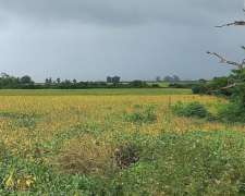 Campo Agricola 24 Hectareas Sobre Ruta