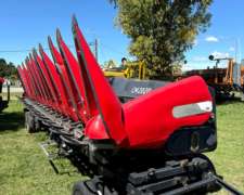 Maicero 16/52 Ombu cm 2020