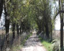 Campo en Venta 360 Has en Bavio