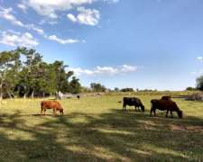 Alquilo 20h Sobre Ruta 41 Zona Lobos BS AS