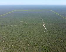 1223 Has en Venta - Pcia del Chaco, Fuerte Esperanza