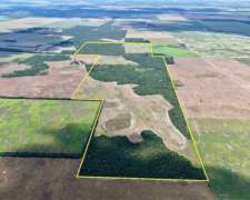 134 Has En Venta - Pcia Del Chaco, Campo Largo